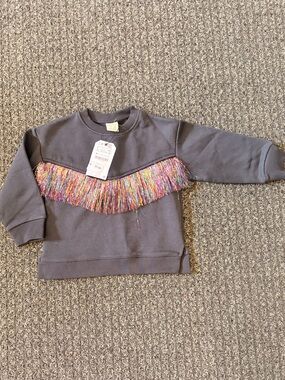 Zara Girls Rainbow Fringe Sweatshirt Size 5Y (110 cm) NWT